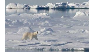 Arctic Meaning and Definition