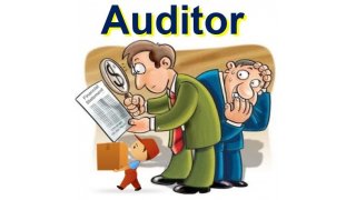 Auditor Meaning and Definition