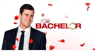 Bachelor Meaning and Definition