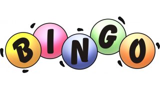 Bingo Meaning and Definition