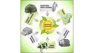 Biomass Meaning and Definition