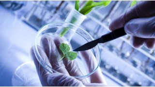 Biotechnology Meaning and Definition
