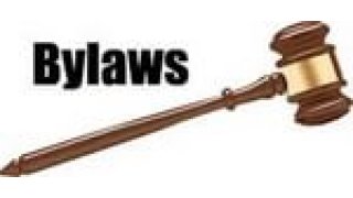 Bylaws Meaning and Definition