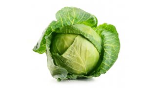 Cabbage Meaning and Definition