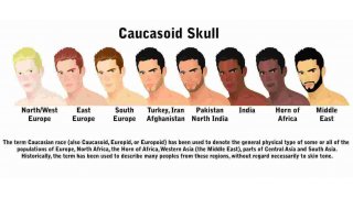 Caucasian Meaning and Definition