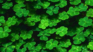 Clover Meaning and Definition