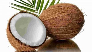 Coconut Meaning and Definition