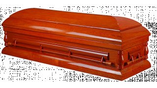 Coffin Meaning and Definition