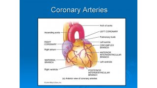 Coronary Meaning and Definition