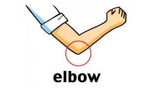 Elbow Meaning and Definition