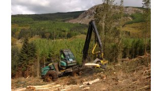 Forestry Meaning and Definition