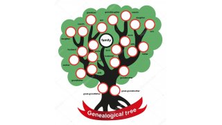 Genealogical Meaning and Definition