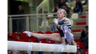 Gymnastics Meaning and Definition