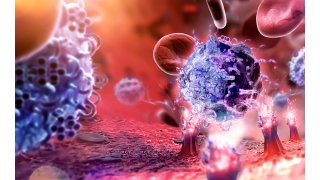 Immunology Meaning and Definition