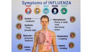 Influenza Meaning and Definition