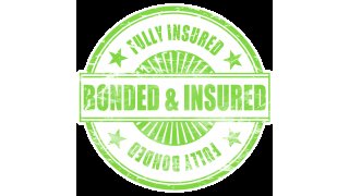 Insured Meaning and Definition