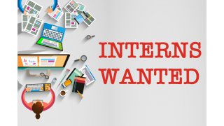Intern Meaning and Definition