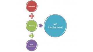 Involvement Meaning and Definition
