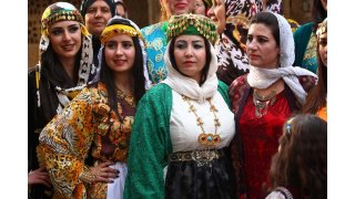 Kurdish Meaning and Definition