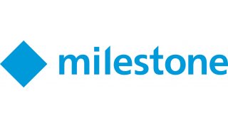 Milestone Meaning and Definition