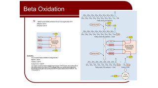 Oxidation Meaning and Definition