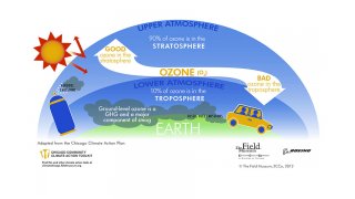 Ozone Meaning and Definition