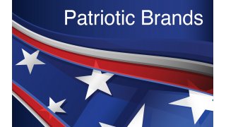 Patriotic Meaning and Definition