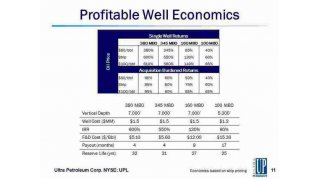 Profitable Meaning and Definition