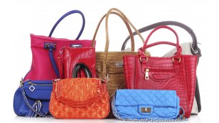 Purse Meaning and Definition