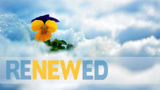 Renewed Meaning and Definition