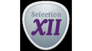 Selection Meaning and Definition