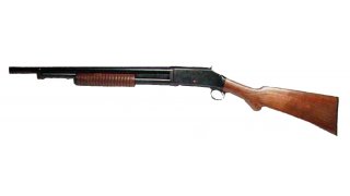 Shotgun Meaning and Definition