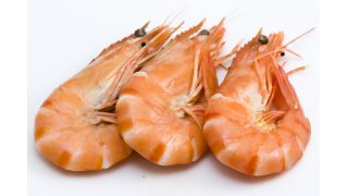 Shrimp Meaning and Definition