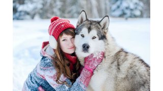 Siberian Meaning and Definition