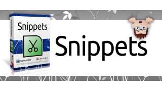 Snippets Meaning and Definition