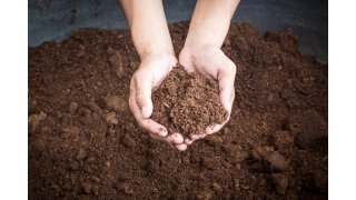 Soil Meaning and Definition
