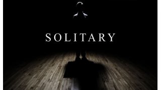 Solitary Meaning and Definition