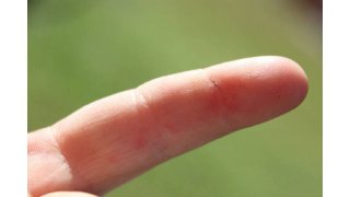 Splinter Meaning and Definition