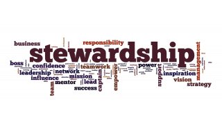 Stewardship Meaning and Definition