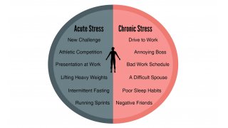 Stress Meaning and Definition