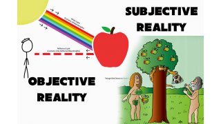 Subjective Meaning and Definition