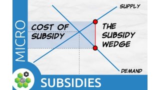 Subsidy Meaning and Definition