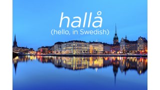 Swedish Meaning and Definition