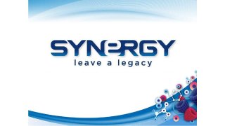 Synergy Meaning and Definition