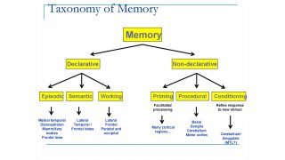 Taxonomy Meaning and Definition