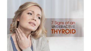 Thyroid Meaning and Definition