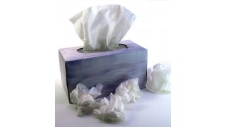 Tissue Meaning and Definition