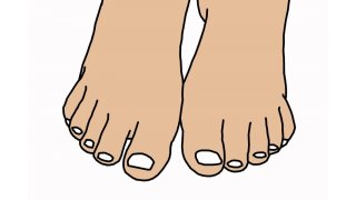 Toes Meaning and Definition