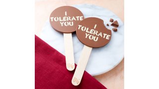 Tolerate Meaning and Definition