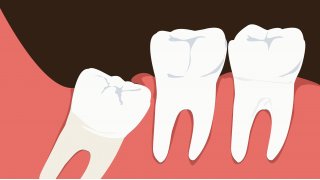 Tooth Meaning and Definition